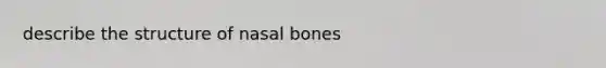 describe the structure of nasal bones