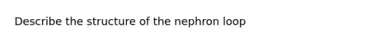 Describe the structure of the nephron loop