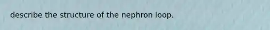 describe the structure of the nephron loop.