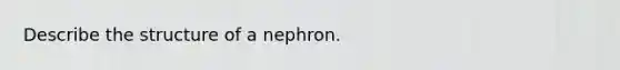 Describe the structure of a nephron.