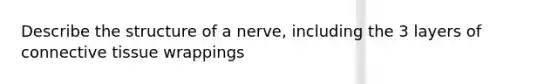 Describe the structure of a nerve, including the 3 layers of connective tissue wrappings
