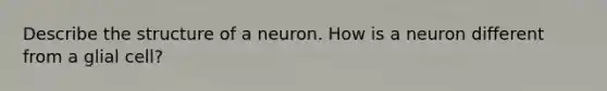 Describe the structure of a neuron. How is a neuron different from a glial cell?