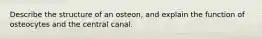 Describe the structure of an osteon, and explain the function of osteocytes and the central canal.