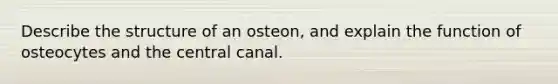 Describe the structure of an osteon, and explain the function of osteocytes and the central canal.