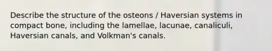 Describe the structure of the osteons / Haversian systems in compact bone, including the lamellae, lacunae, canaliculi, Haversian canals, and Volkman's canals.