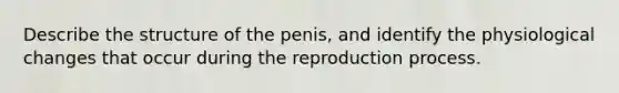 Describe the structure of the penis, and identify the physiological changes that occur during the reproduction process.