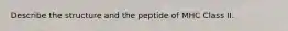 Describe the structure and the peptide of MHC Class II.