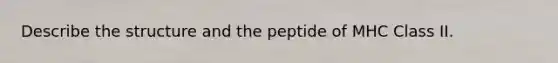 Describe the structure and the peptide of MHC Class II.