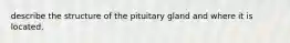 describe the structure of the pituitary gland and where it is located.