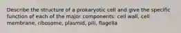 Describe the structure of a prokaryotic cell and give the specific function of each of the major components: cell wall, cell membrane, ribosome, plasmid, pili, flagella