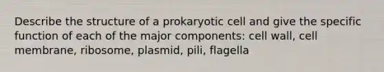 Describe the structure of a prokaryotic cell and give the specific function of each of the major components: cell wall, cell membrane, ribosome, plasmid, pili, flagella