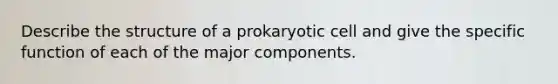 Describe the structure of a prokaryotic cell and give the specific function of each of the major components.