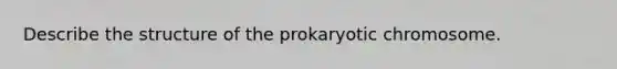 Describe the structure of the prokaryotic chromosome.