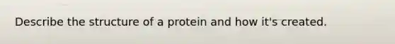 Describe the structure of a protein and how it's created.