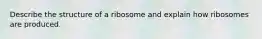 Describe the structure of a ribosome and explain how ribosomes are produced.