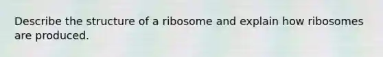 Describe the structure of a ribosome and explain how ribosomes are produced.