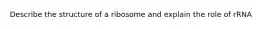 Describe the structure of a ribosome and explain the role of rRNA