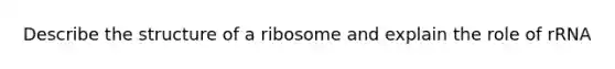 Describe the structure of a ribosome and explain the role of rRNA