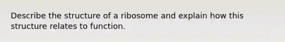 Describe the structure of a ribosome and explain how this structure relates to function.