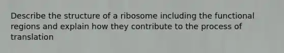 Describe the structure of a ribosome including the functional regions and explain how they contribute to the process of translation