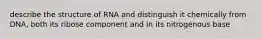 describe the structure of RNA and distinguish it chemically from DNA, both its ribose component and in its nitrogenous base