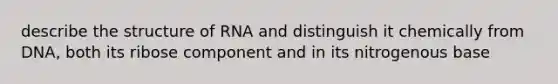 describe the structure of RNA and distinguish it chemically from DNA, both its ribose component and in its nitrogenous base