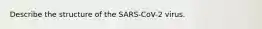 Describe the structure of the SARS-CoV-2 virus.