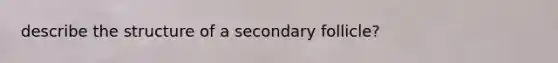 describe the structure of a secondary follicle?