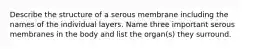 Describe the structure of a serous membrane including the names of the individual layers. Name three important serous membranes in the body and list the organ(s) they surround.