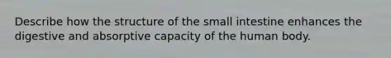 Describe how the structure of <a href='https://www.questionai.com/knowledge/kt623fh5xn-the-small-intestine' class='anchor-knowledge'>the small intestine</a> enhances the digestive and absorptive capacity of the human body.