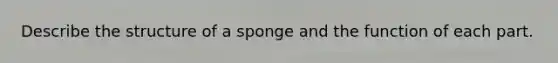 Describe the structure of a sponge and the function of each part.