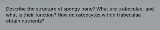 Describe the structure of spongy bone? What are trabeculae, and what is their function? How do osteocytes within trabeculae obtain nutrients?