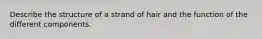 Describe the structure of a strand of hair and the function of the different components.