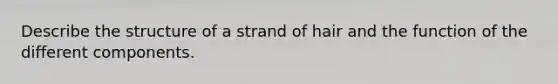 Describe the structure of a strand of hair and the function of the different components.