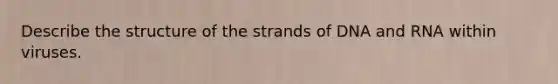 Describe the structure of the strands of DNA and RNA within viruses.