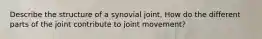 Describe the structure of a synovial joint. How do the different parts of the joint contribute to joint movement?