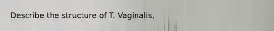 Describe the structure of T. Vaginalis.