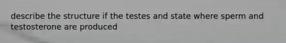 describe the structure if the testes and state where sperm and testosterone are produced