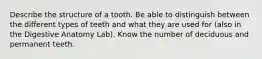 Describe the structure of a tooth. Be able to distinguish between the different types of teeth and what they are used for (also in the Digestive Anatomy Lab). Know the number of deciduous and permanent teeth.