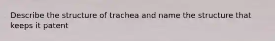 Describe the structure of trachea and name the structure that keeps it patent