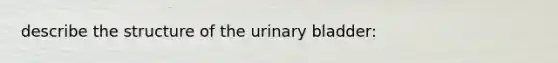 describe the structure of the urinary bladder: