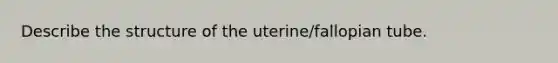 Describe the structure of the uterine/fallopian tube.