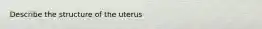 Describe the structure of the uterus