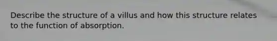 Describe the structure of a villus and how this structure relates to the function of absorption.