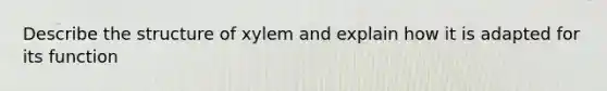 Describe the structure of xylem and explain how it is adapted for its function