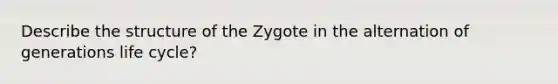 Describe the structure of the Zygote in the alternation of generations life cycle?