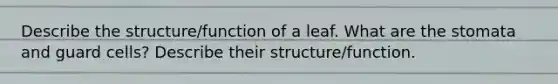 Describe the structure/function of a leaf. What are the stomata and guard cells? Describe their structure/function.