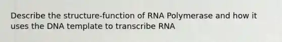 Describe the structure-function of RNA Polymerase and how it uses the DNA template to transcribe RNA