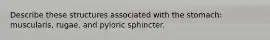 Describe these structures associated with <a href='https://www.questionai.com/knowledge/kLccSGjkt8-the-stomach' class='anchor-knowledge'>the stomach</a>: muscularis, rugae, and pyloric sphincter.