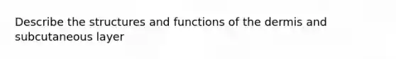 Describe the structures and functions of the dermis and subcutaneous layer